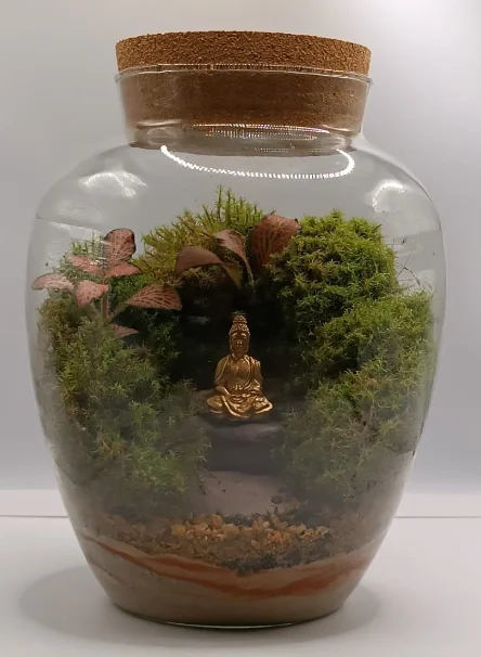 Terrário 02