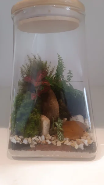 Terrário 03